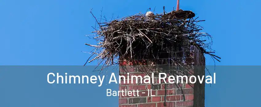 Chimney Animal Removal Bartlett - IL