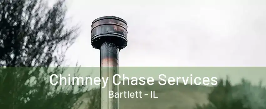 Chimney Chase Services Bartlett - IL