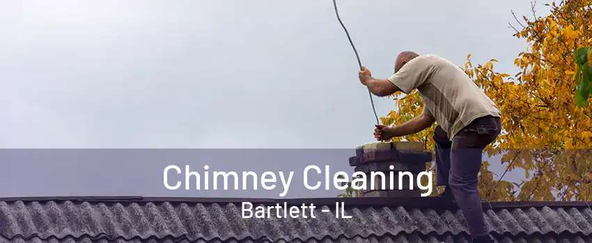 Chimney Cleaning Bartlett - IL