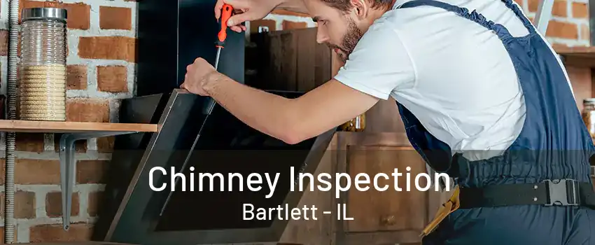 Chimney Inspection Bartlett - IL