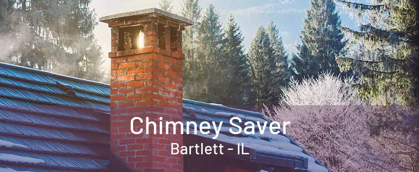 Chimney Saver Bartlett - IL