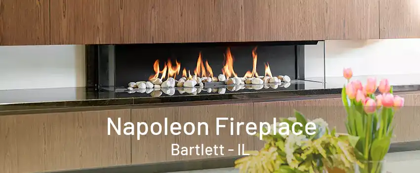 Napoleon Fireplace Bartlett - IL