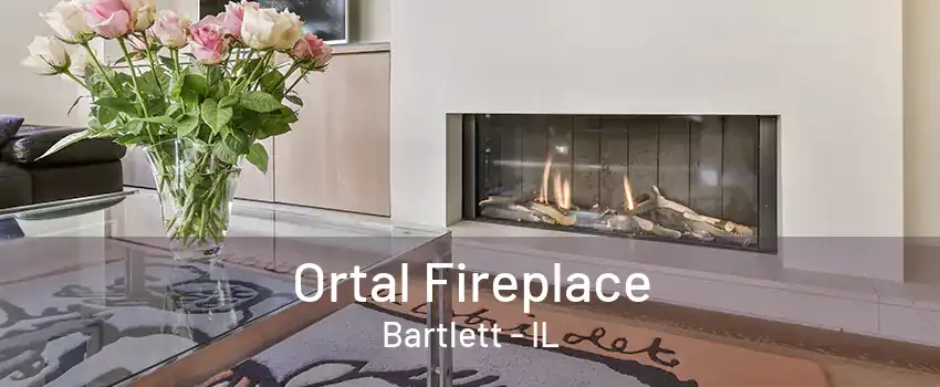 Ortal Fireplace Bartlett - IL